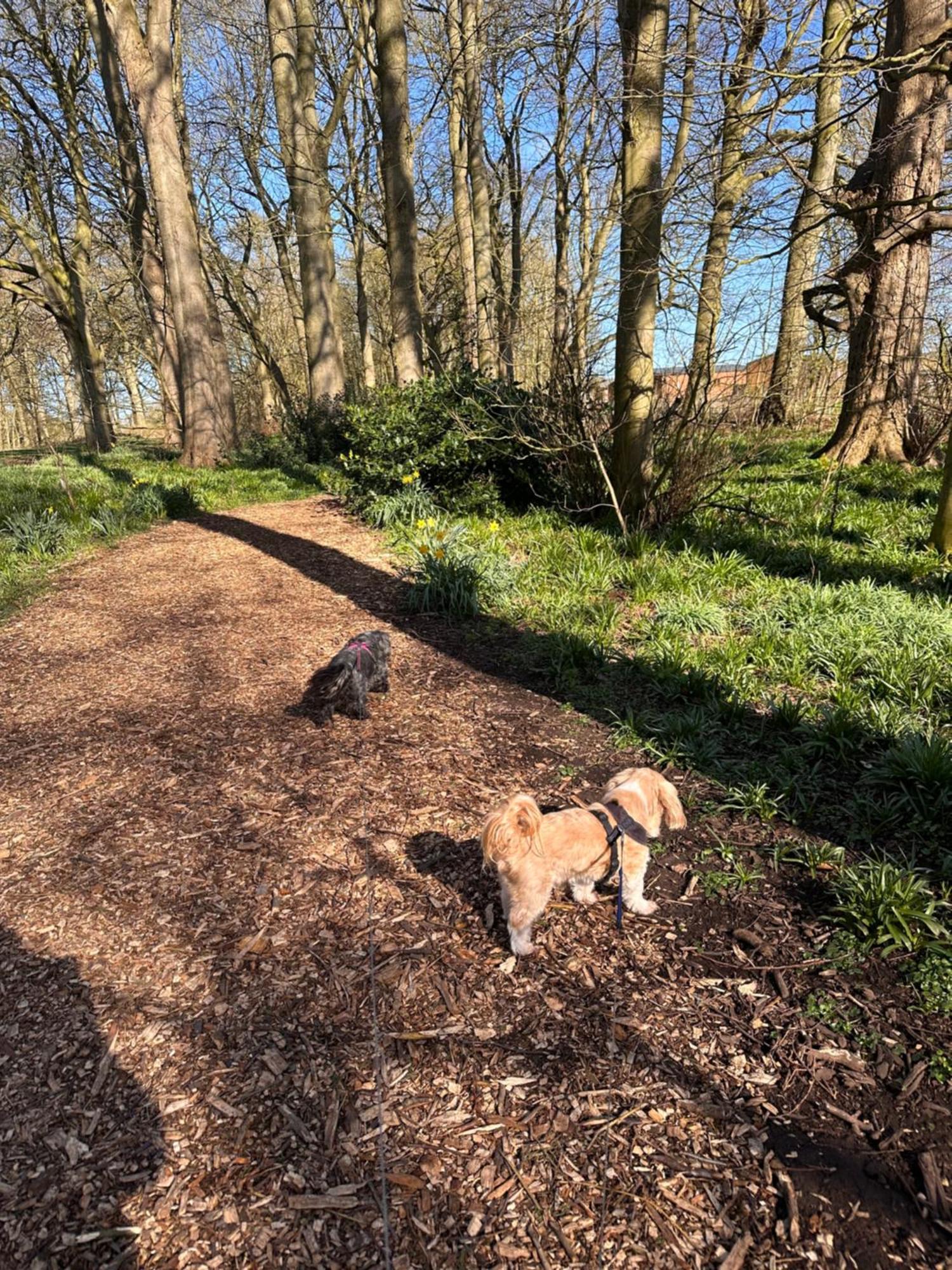Max'S Woodland Lodge Bridlington Exteriér fotografie