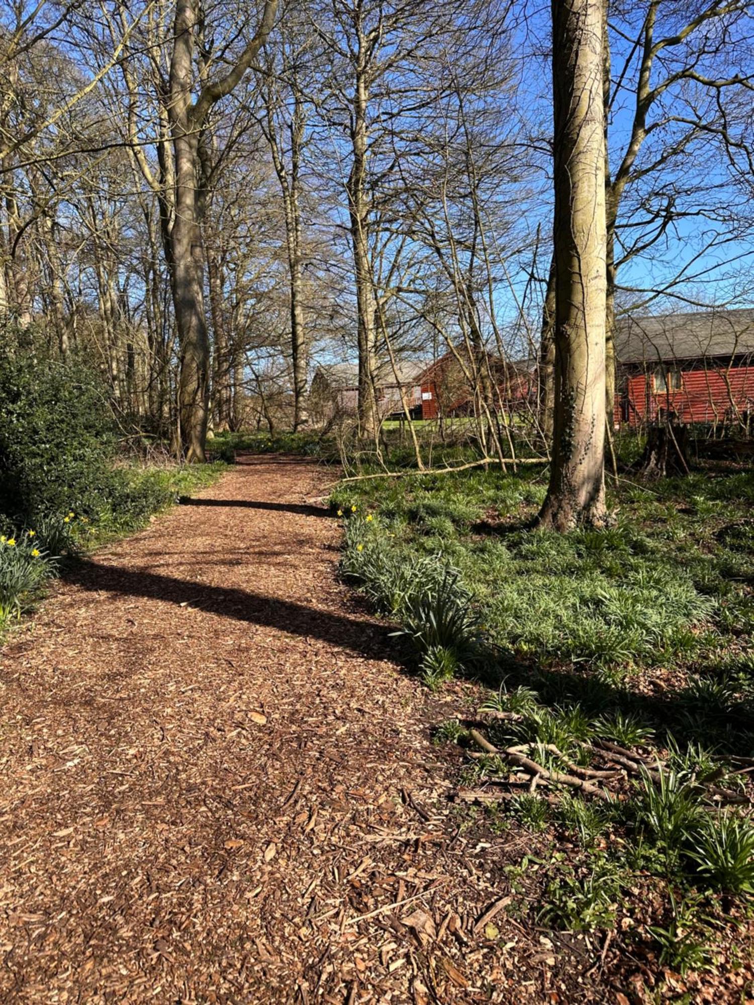 Max'S Woodland Lodge Bridlington Exteriér fotografie