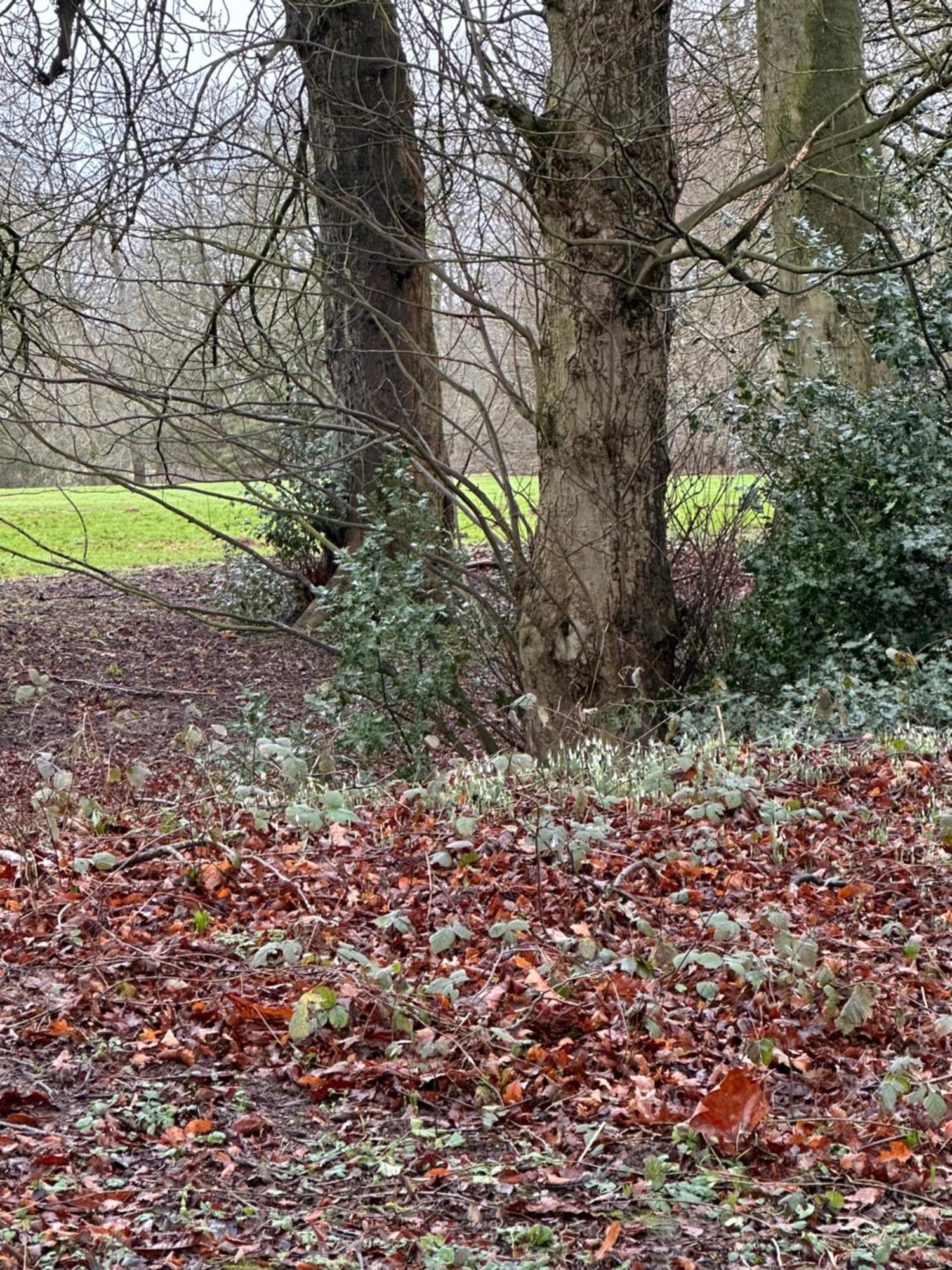 Max'S Woodland Lodge Bridlington Exteriér fotografie